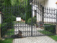 ploty, branky, brány